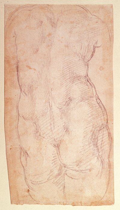 Studio del dorso di una figura nuda da Michelangelo Buonarroti